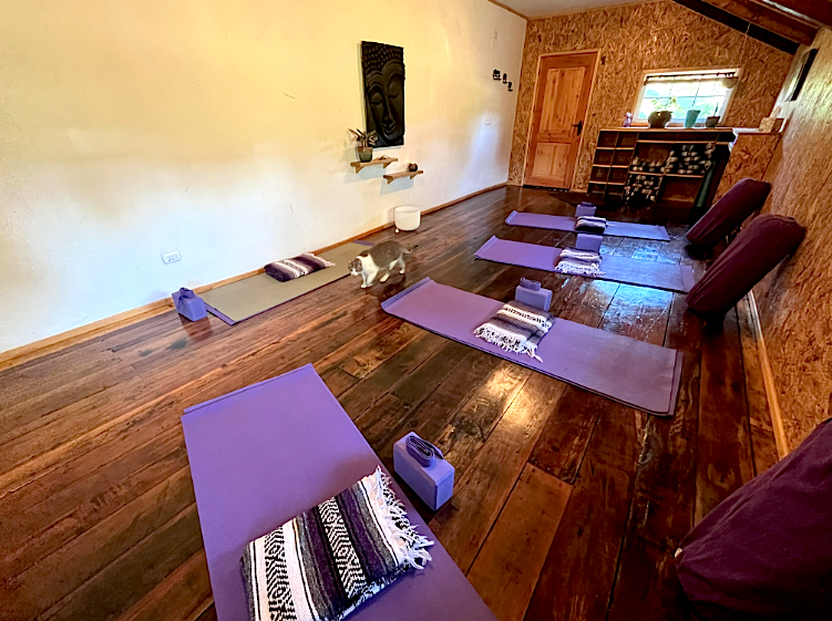 YOGA ROOM 2